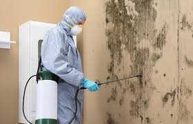 Best Air Quality Testing for Mold Spores  in Oak Ridge, FL